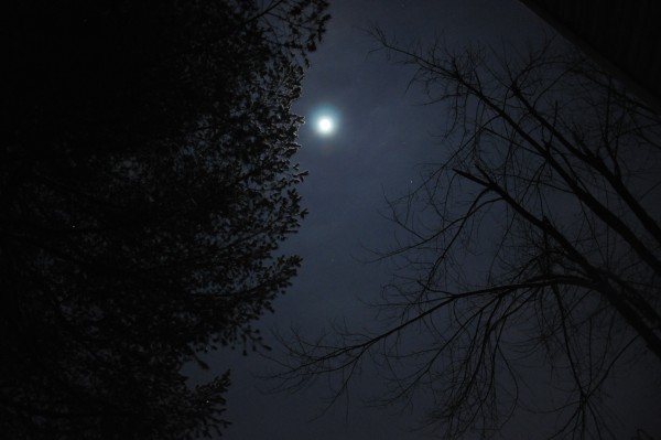 DSC_0053.JPG