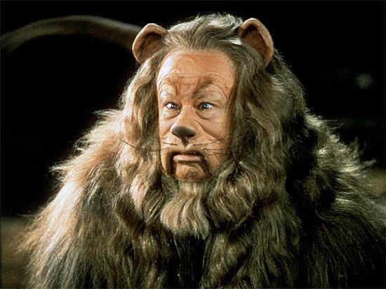 lion.jpg