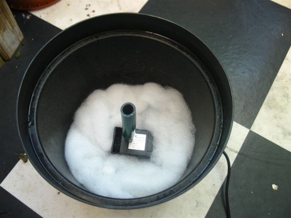 20240525 - recirculating bird bath - 02.jpg
