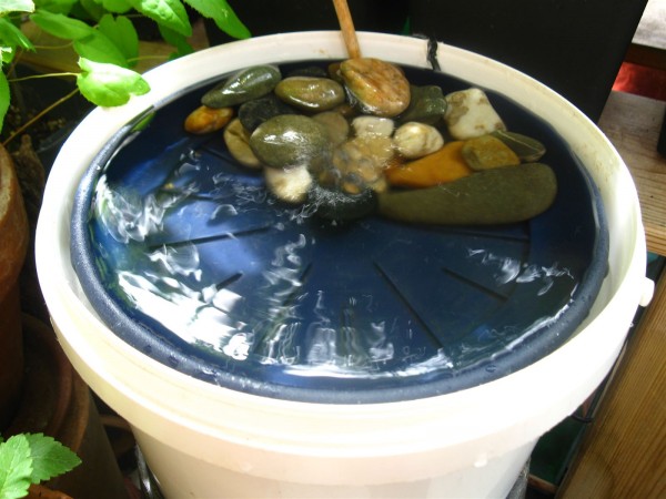 20240526 - recirculating bird bath - 04.jpg