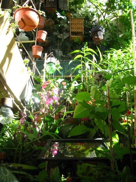 20240609 - balcony - 28.jpg