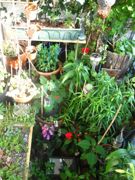 20240609 - balcony - 29.jpg