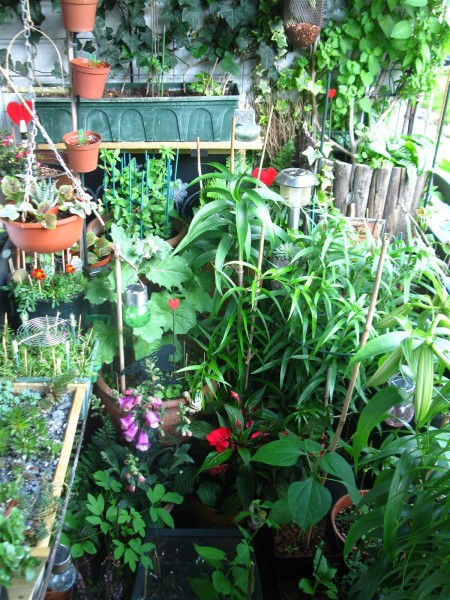 20240609 - balcony - 34.jpg