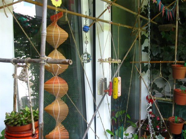 20240609 - Ipomoea purpurea 'Venice Pink'- 04.jpg