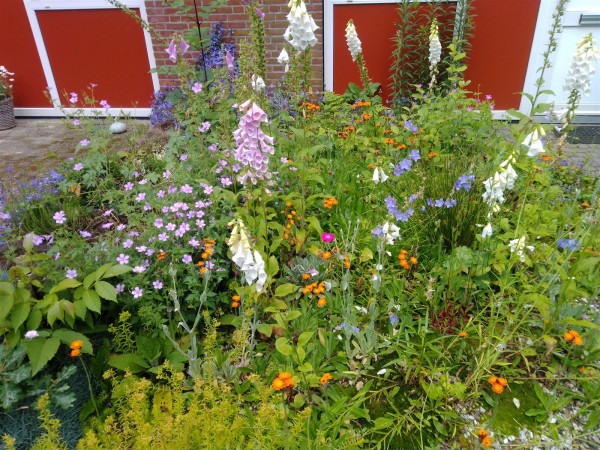 20240612 - workphotos wildgarden - 01.jpg