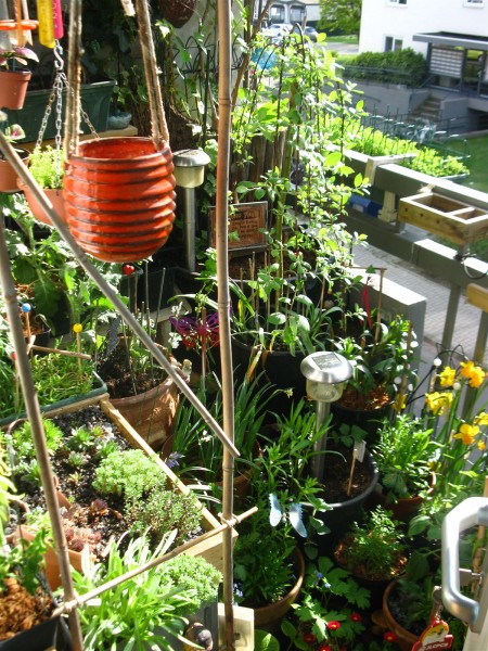 20250422 - balcony - 22.jpg