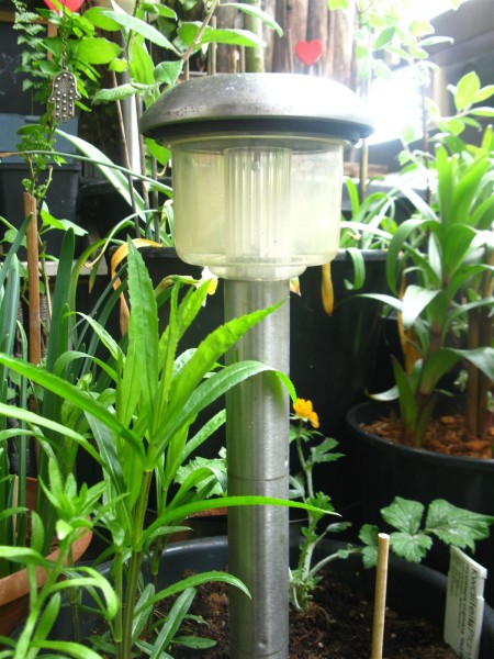 20250424 - solar garden lights - 01.jpg