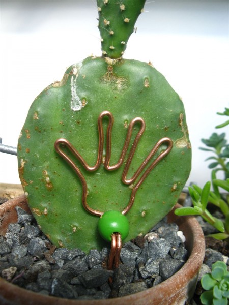 20250515 - Opuntia - 01.jpg