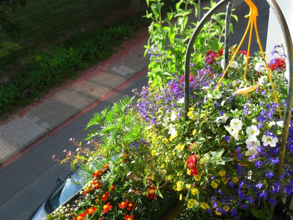 20250520 - balcony - 45.jpg