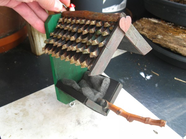 20250824 - birdfeeder - 01.jpg