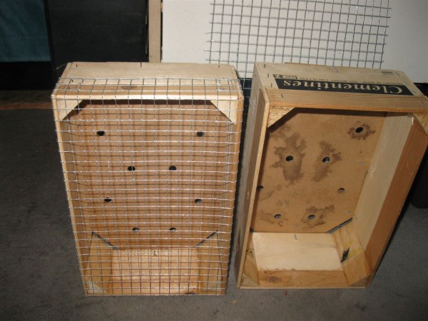 20250825 - insect hotel - 02.jpg