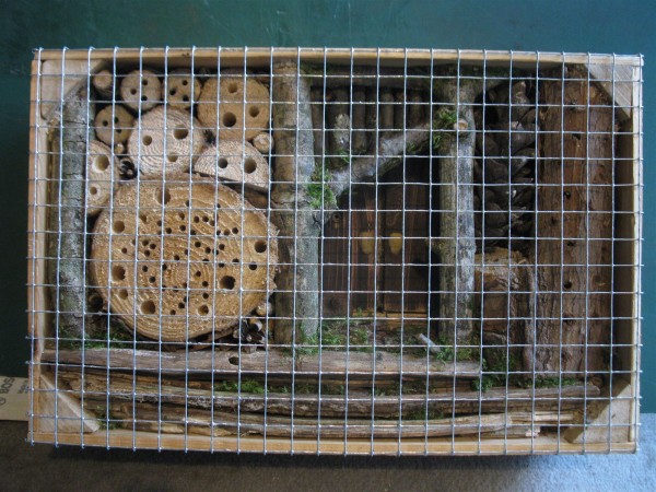 20250903 - Insect Hotel - 04.jpg