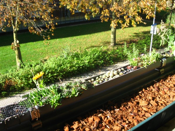 20251105 - balcony - 107.jpg