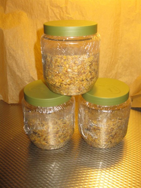 20251115 - bird cuisine - 03.jpg