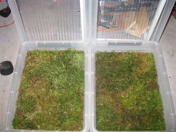 20251115 - moss - 01.jpg