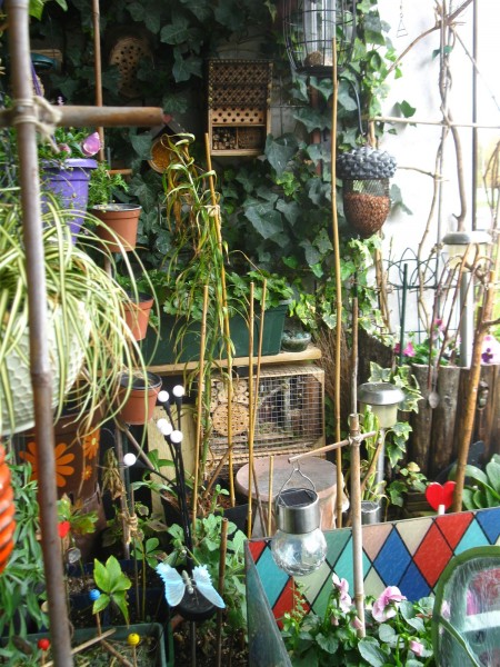 20251117 - balcony - 111.jpg