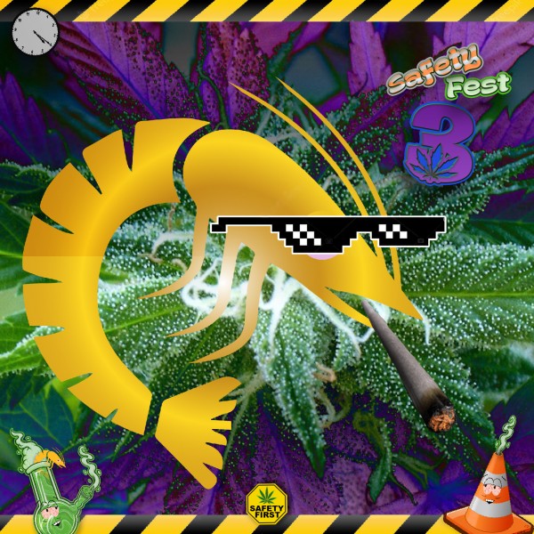 420 Safety Fest 3 - Cover Art.jpg