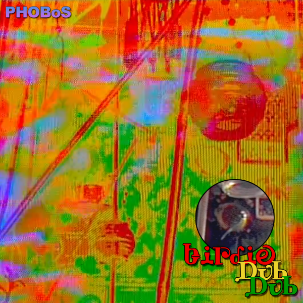 birdie dub dub - Cover Art.png