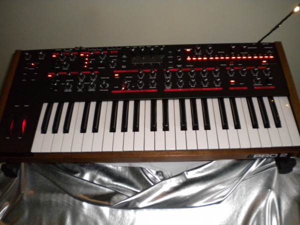 DSCN0770.JPG