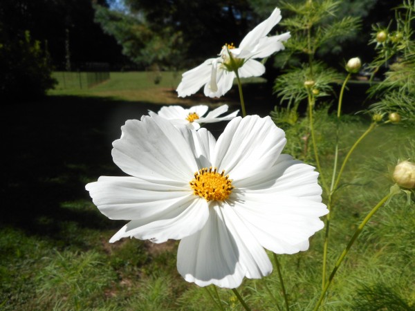 DSCN1688.JPG
