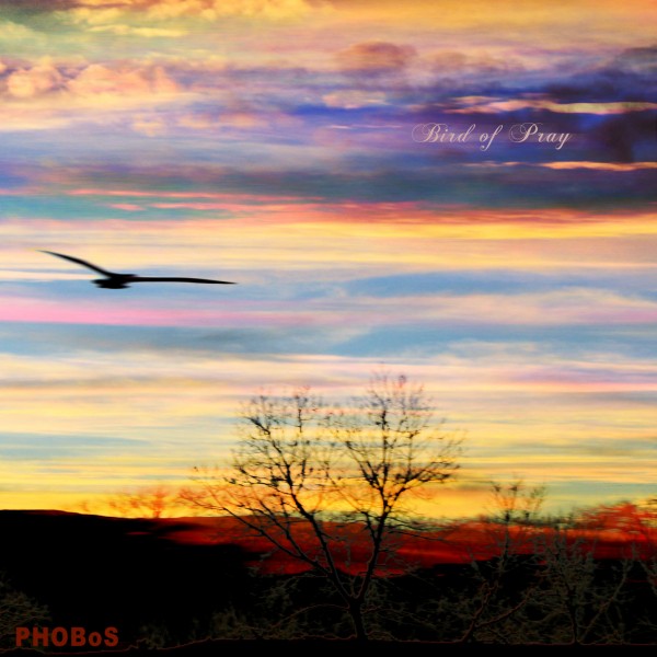Bird of Pray - Cover Art.jpg