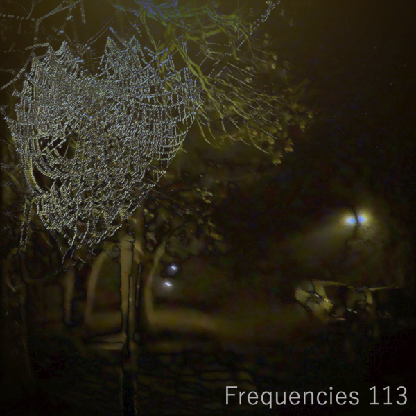 freq113.png