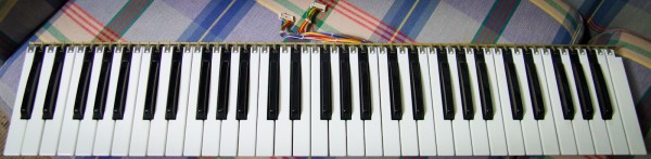 IMG_6500.jpg