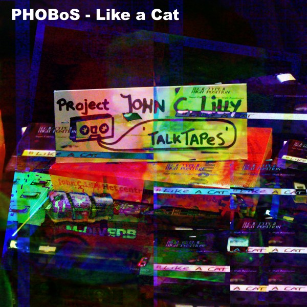 Like a Cat - Cover Art.jpg