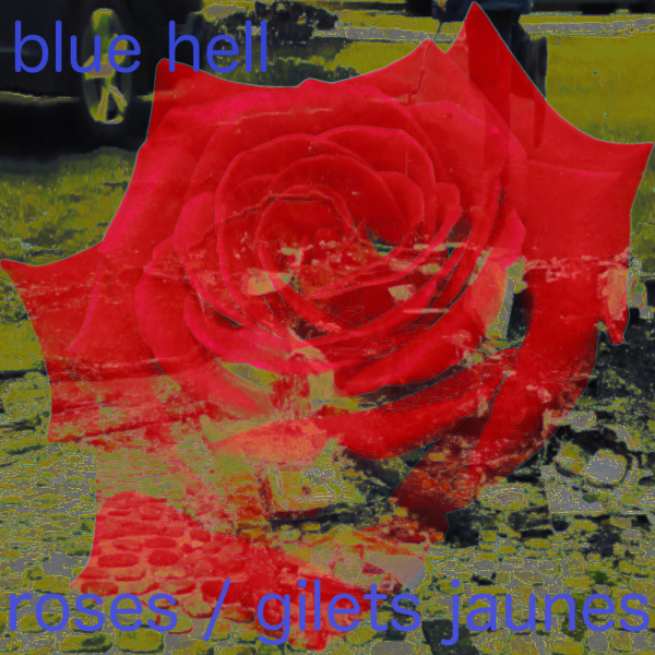 roses-gelits-jaune.png