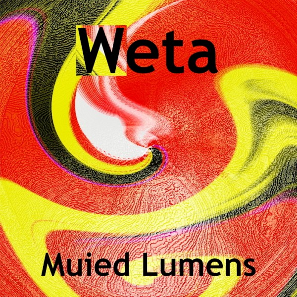 Weta.JPG