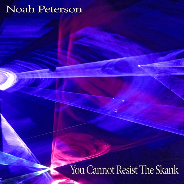 You Cannot Resist The Skank cover.jpg